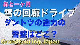 【絶景道マイスター】日本の絶景道のバイブル　雪の回廊ドライブといえば雪壁の高さで東北が圧倒的！東北を代表する雪の回廊を紹介！