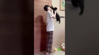 funny sleepy wild pet and animals #shorts #edits #videos #cats #pets #animals