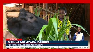 Inka zisaga ibihumbi 450 nizo zimaze gutangwa mu myaka 18 ishize hatangijwe gahunda ya gira inka