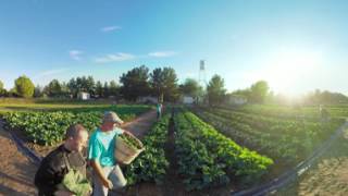 Mesa Arizona - Agritourism 360 Video