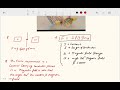 magnetic effect of electric current part 2 complete physics class10 board 2025 cbse icse