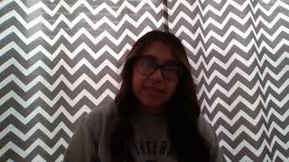 EEC 4005 Assignment 13: VPK Program Interview: Exploring Early Childhood Education- Daisy Velez