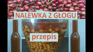 Nalewka z głogu ( Głogówka)  - przepis. Głóg jednoszyjkowy i dwuszyjkowy