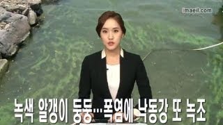 매일영상뉴스 0719