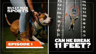 Bully Max Sports | Ep. 1 | Wall Climb Event