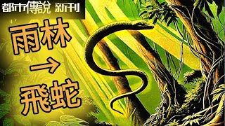 【都市傳說】新刊：無翅膀的神龍，如何飛行？這種動物，可能給出了答案。