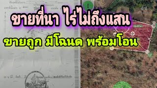 ขายที่นา 6 ไร่ 26 ตรว.ราคาถูก ไร่ไม่ถึงแสน มีความจำเป็นต้องขายจริงๆ ที่มีโฉนด พร้อมโอนทันที