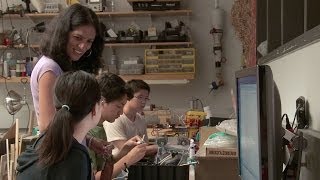 From Social Insects to Radcliffe Fellows: Exploring a Collective Intelligence || Radcliffe Institute