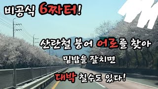 산란철 붕어 어로를 찾아 밑밥을 잘치면 대박 칠수도 있다!