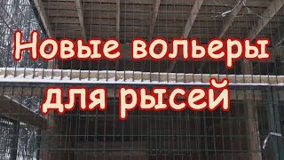 Новые вольеры для рысей!