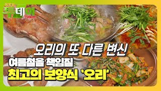 여름철 최고 보양식! 오리 요리의 무한 변신★ #생방송투데이 #LiveToday #SBSstory