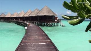 Релакс Мальдивы.  Relax Maldives