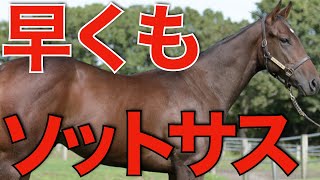 ソットサス産駒がついに新馬勝ち！日本で種牡馬成功への期待が高まる。