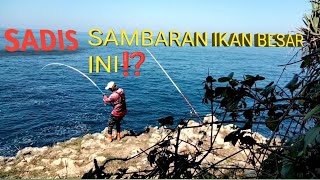 SADIS‼️SAMBARAN IKAN BESAR INI, SAMPAI 2 KAIL MELAR || mancing ikan trigger fish