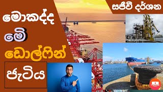 Colombo Port sri lanka|කොළඹ වරායේ ඩොල්පින් ජැටිය|Hotnews|SLSurfer