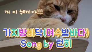 가지방바닥(feat. 여수밤바다) 병맛노래 주의!!