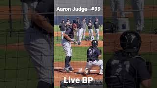 Aaron Judge live BP at NY Yankees spring training @Steinbrenner Field Tampa FL 1BB, 1 grounder, 1k