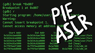 Cannot access memory at address // Debugging PIE Binaries affected by ASLR - bin 0x2E