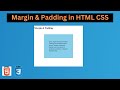 Margin & Padding in HTML CSS | CSS Tutorial