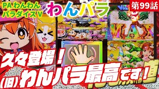 【目指すは】PAわんわんパラダイスV 2023/0730 【貯玉100万発】