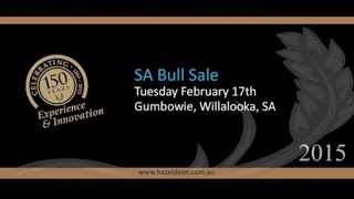 Hazeldean Angus SA Bull Sale 2015