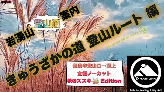 岩湧山［きゅうざかの道 登山ルート］登山道ガイド↗️ススキ広がる秋の新日本百名山 YT-043