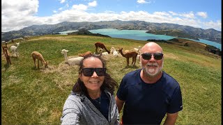 Travel guide - Beautiful AKAROA, New Zealand