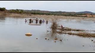 🔥🔥నీళ్ళలో ఉండే బండను అవలీలగా ఒడ్డుకు తెస్తున్న ఒంగోలు గిత్తలు🔥🔥