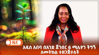 አዲስ አበባ በአንድ ጀንበር 6 ሚሊዮን ችግኝ ለመትከል ተዘጋጅታለች