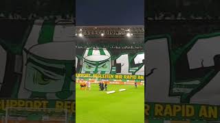 10 Jahre SAF Rapid Wien Choreo vs. LASK - Ultras - 5 Min. Full Video in Acc.