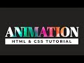 Animated Background With Pure HTML & CSS | No Javascript | DesignTorch