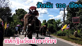 แห่กฐิน หนึ่งเดียวในโลก ช้าง เกือบ 100 เชือก วัดป่าอาเจียง