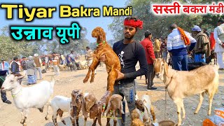 आज का बाजार सस्ता रहा |29/01/25 |Tiyar Bakra Mandi Unnao UP Live Update |सबसे सस्ती बकरी बाजार