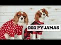 KEEP YOUR DOG WARM + FUR CONTROL FOR ALLERGIES | Unboxing Dog Pyjamas | Cavalier King Charles