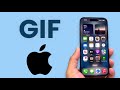 How To Make GIF on iPhone