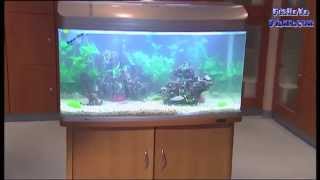 AquaOne AquaStyle 620 T, 850, 980 curved Aqua one aquariums