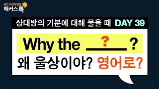 [왕초보영어] DAY.39 왜 울상이야?😢 vs 왜 그렇게 업 됐어?🥳 영어로?생활영어공부 영어말하기