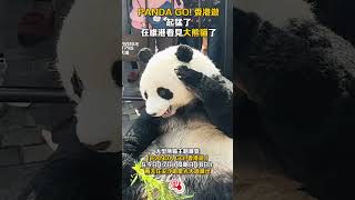 起猛了！在維港看見大熊貓了 What! Panda escape to Victoria Harbour? #香港 #香港大熊貓 #大熊貓 #panda