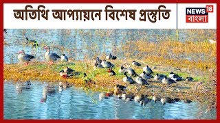 Hooghly-র Haripal-এ ৮টি জলাশয়ে বিদেশী অতিথিদের ভিড়, যদিও অন্যান্য বারের থেকে সংখ্যায় কম