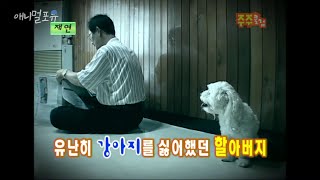 개를 싫어하던 할아버지가 마음을 바꾼 이유, KBS 070708 방송