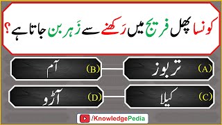 islami Urdu Paheliyan | Islamic Riddles | اسللامی سوال جواب اور معلومات  | islamic  Questions 621