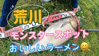 【埼玉県荒川水門前のモンスタースポット】釣りfishing mancing