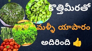 కొత్తిమీరతో మళ్ళీ యాపారం అదిరింది 👍👍..|| mana yaaparam || || yaaparam ||