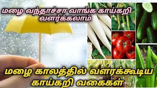 மழை காலத்துக்கு ஏற்ற காய்கறி வளர்ப்பு / Rainy monsoon vegetable in tamil/-JOSHIGARDEN