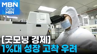 [굿모닝 경제] 1%대 성장 고착 우려 / 빚 못 갚는 자영업자 증가 / 설 명절 소비자 피해주의보 [굿모닝 MBN]