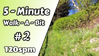 5-Minute-Walk-A-Bit - #2 - Upper Birch Trail - Get Active and Relax at the Same Time