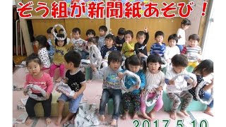 はちまんこども園(福井市）2歳児クラス(ぞう組）が新聞紙あそびで大喜び！2017年5月。