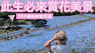 【日本茨城旅遊EP.2】必去景點: 常陸海濱公園粉蝶花海/ 海上鳥居/ 明太子工廠/ 袋田瀑布 / 那須溫泉飯店 | 依娃Evalife