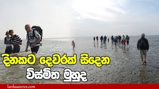 දිනකට දෙවරක් සිදෙන විස්මිත මුහුද  - The sea missing twice a day