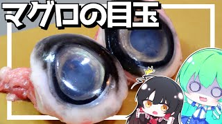 【ゆっくり料理】早苗はマグロの目玉で煮付けを作る！【ゆっくり実況】【さなミラ】【珍味】【おつまみ】